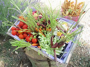 Produits frais et de saison